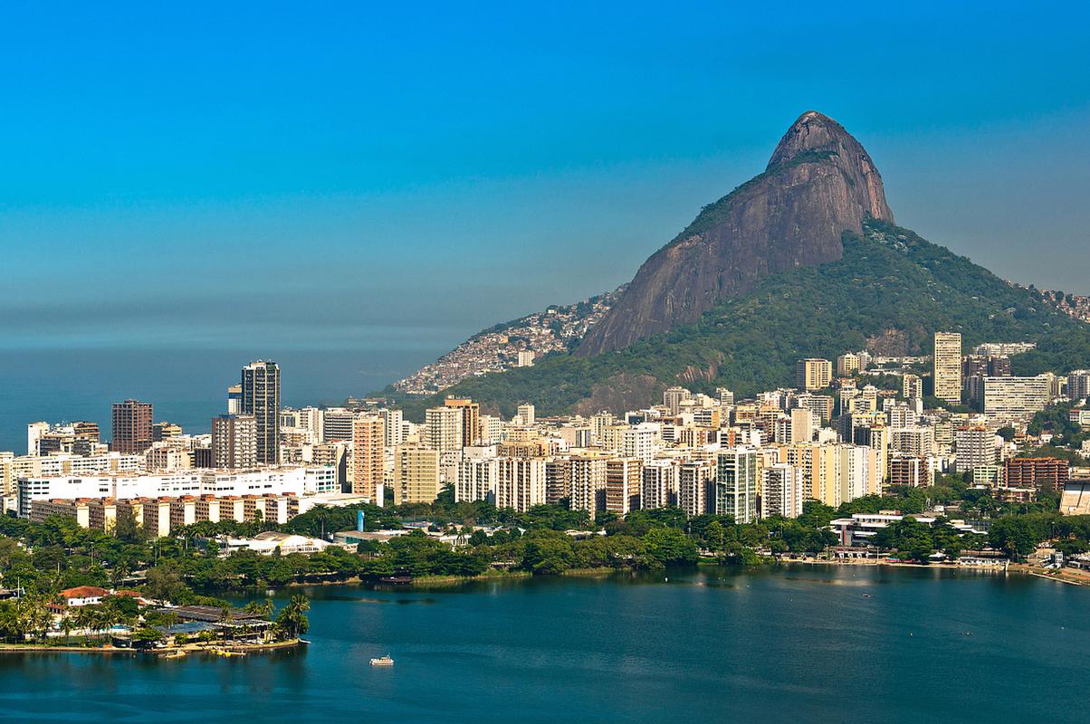 quais-são-os-componentes-do-sangue-e-suas-funções - Mercado de apostas brasileiro