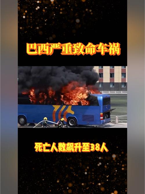 para-que-serve-o-plasma - Tendências de apostas no Brasil